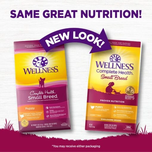 Wellness Small Breed Complete Health Puppy Turkey, Oatmeal & Salmon Meal Recipe Dry Dog Food -Dog Supplies 52087 PT1. AC SS1800 V1677613524