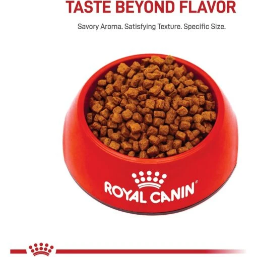 Royal Canin Breed Health Nutrition Yorkshire Terrier Puppy Dry Dog Food -Dog Supplies 52402 PT1. AC SS1800 V1697138471