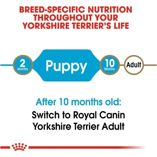 Royal Canin Breed Health Nutrition Yorkshire Terrier Puppy Dry Dog Food -Dog Supplies 52402 PT6. AC SS1800 V1697216753