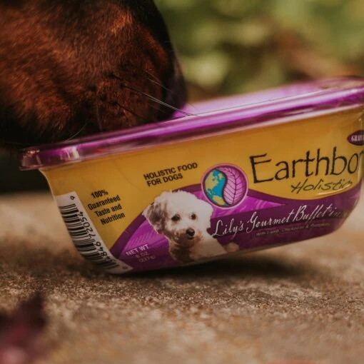 Earthborn Holistic Lily's Gourmet Buffet Grain-Free Natural Moist Dog Food -Dog Supplies 52816 PT7. AC SS1800 V1633468621