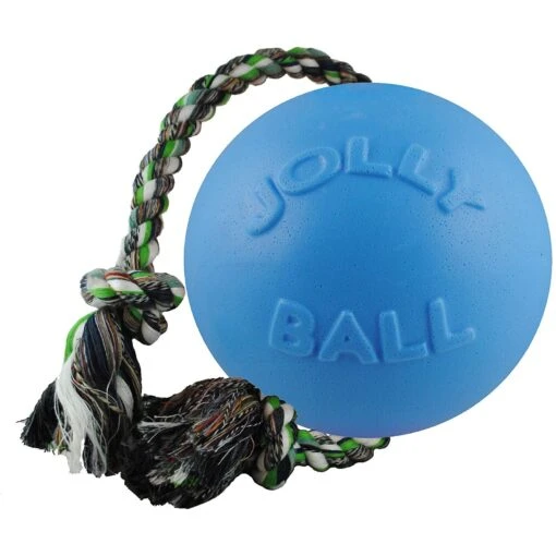 Jolly Pets Romp-n-Roll Dog Toy, Blueberry -Dog Supplies 53648 MAIN. AC SS1800 V1629245805