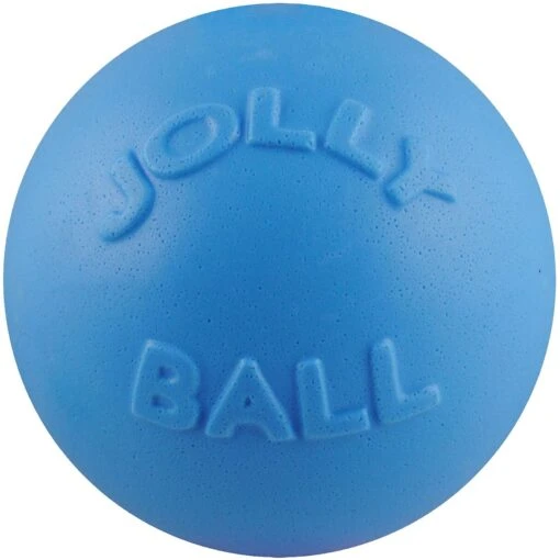 Jolly Pets Bounce-n-Play Dog Toy, Blueberry -Dog Supplies 53661 MAIN. AC SS1800 V1629243987