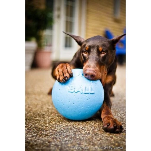 Jolly Pets Bounce-n-Play Dog Toy, Blueberry -Dog Supplies 53661 PT1. AC SS1800 V1629246670