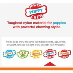 Nylabone Puppy Power Chew Teething Toy Rings Dogs Bacon Yellow -Dog Supplies 54231 PT4. AC SS1800 V1658762094