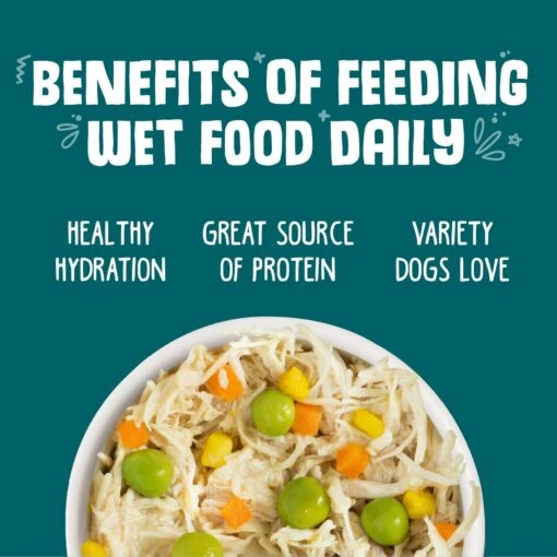 Weruva Funky Chunky Chicken Soup With Pumpkin Grain-Free Canned Dog Food -Dog Supplies 55588 PT4. AC SS1800 V1641841023