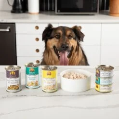 Weruva Funky Chunky Chicken Soup With Pumpkin Grain-Free Canned Dog Food -Dog Supplies 55588 PT6. AC SS1800 V1641840118