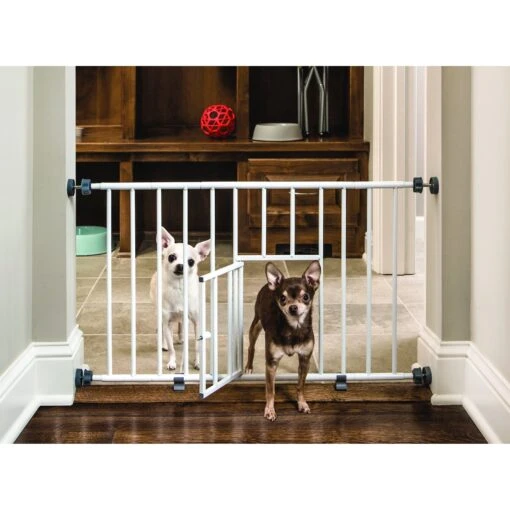 Carlson Pet Products Mini Dog Gate With Pet Door -Dog Supplies 58485 PT2. AC SS1800 V1567719770