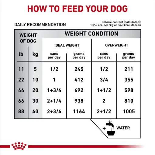 Royal Canin Veterinary Diet Adult Hepatic Loaf Canned Dog Food -Dog Supplies 58624 PT6. AC SS1800 V1691702091