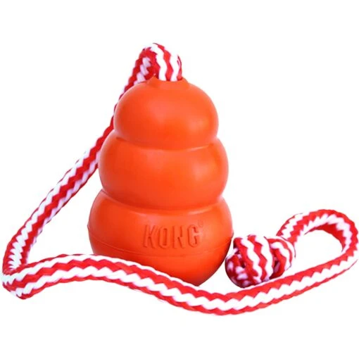 KONG Aqua Dog Toy -Dog Supplies 59147 MAIN. AC SS1800 V1558554805