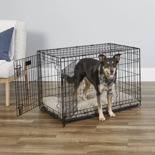 MidWest ICrate Fold & Carry Double Door Collapsible Wire Dog Crate -Dog Supplies 60384 MAIN. AC SS1800 V1647555161