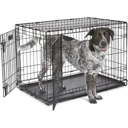 MidWest ICrate Fold & Carry Double Door Collapsible Wire Dog Crate -Dog Supplies 60384 PT1. AC SS1800 V1647555198