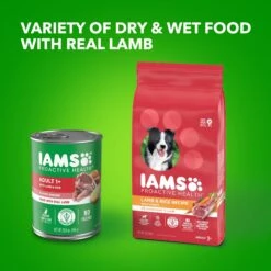 Iams ProActive Health Classic Ground With Lamb & Whole Grain Rice Adult Wet Dog Food -Dog Supplies 604318 PT8. AC SS1800 V1658187319