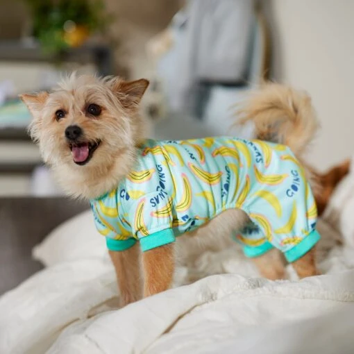 Frisco Go Bananas Dog & Cat Jersey PJs -Dog Supplies 608998 PT6. AC SS1800 V1676642341