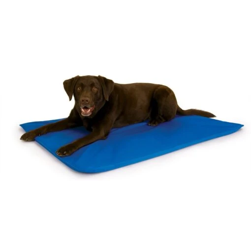 K&H Pet Products Cool Bed III Dog Pad -Dog Supplies 61443 MAIN. AC SS1800 V1627941385