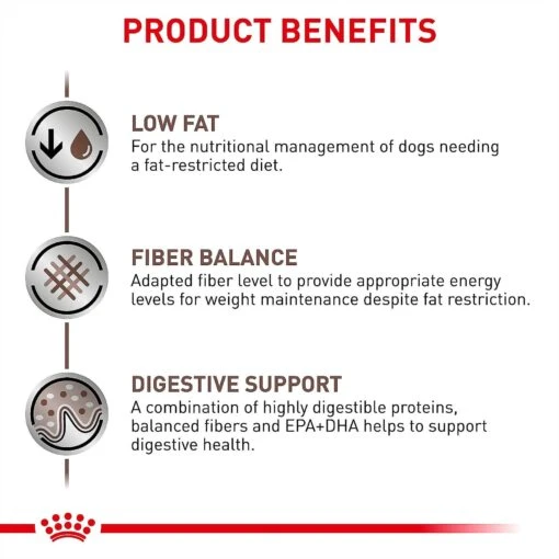 Royal Canin Veterinary Diet Adult Gastrointestinal Low Fat Loaf Canned Dog Food -Dog Supplies 61822 PT3. AC SS1800 V1701366036