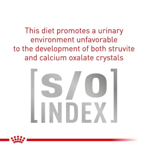 Royal Canin Veterinary Diet Adult Gastrointestinal Low Fat Loaf Canned Dog Food -Dog Supplies 61822 PT4. AC SS1800 V1701366036