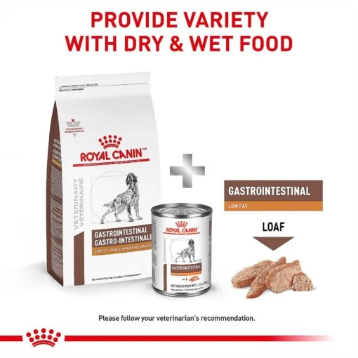 Royal Canin Veterinary Diet Adult Gastrointestinal Low Fat Loaf Canned Dog Food -Dog Supplies 61822 PT5. AC SS1800 V1701366036