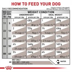 Royal Canin Veterinary Diet Adult Gastrointestinal Low Fat Loaf Canned Dog Food -Dog Supplies 61822 PT7. AC SS1800 V1701366036