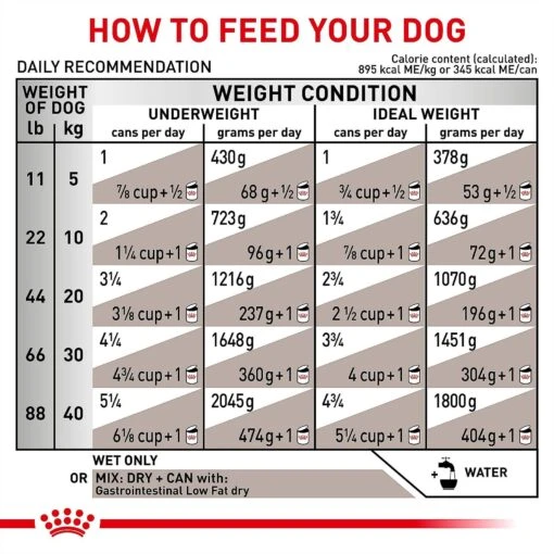 Royal Canin Veterinary Diet Adult Gastrointestinal Low Fat Loaf Canned Dog Food -Dog Supplies 61822 PT7. AC SS1800 V1701366036