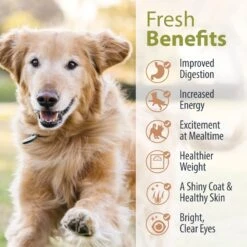 JustFoodForDogs Pantry Fresh Human-Grade Non-GMO Variety Pack Fresh Dog Food, 12.5-oz Pouch, Case Of 8 -Dog Supplies 620094 PT6. AC SS1800 V1665526010