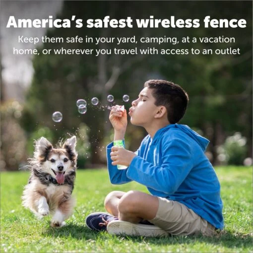 PetSafe Wireless Containment System -Dog Supplies 63890 PT4. AC SS1800 V1685727311