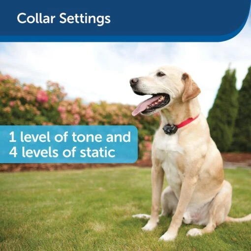 PetSafe In-Ground Fence System -Dog Supplies 63896 PT6. AC SS1800 V1600122655