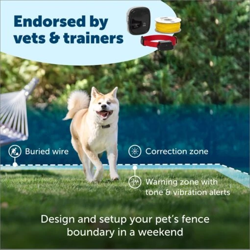 PetSafe Stubborn Dog In-Ground Receiver Collar -Dog Supplies 63902 PT1. AC SS1800 V1687287378