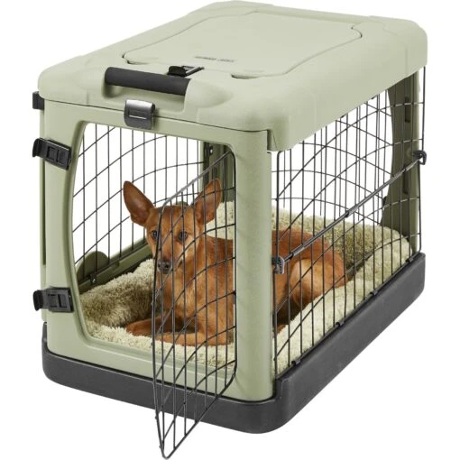 Pet Gear The Other Door Double Door Collapsible Wire Dog Crate & Plush Pad, Sage -Dog Supplies 64489 PT3. AC SS1800 V1569012194