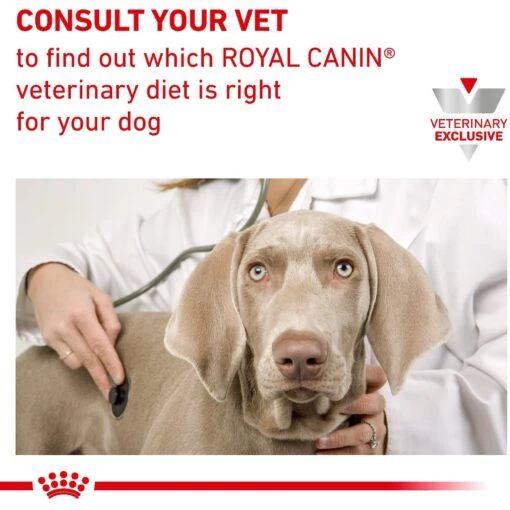 Royal Canin Veterinary Diet Adult Mature Consult Loaf In Sauce Canned Dog Food -Dog Supplies 65211 PT6. AC SS1800 V1627595190