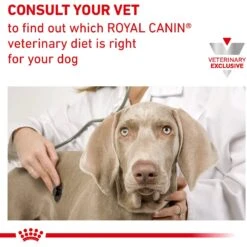 Royal Canin Veterinary Diet Adult Weight Control Loaf In Sauce Canned Dog Food -Dog Supplies 65215 PT7. AC SS1800 V1627596071