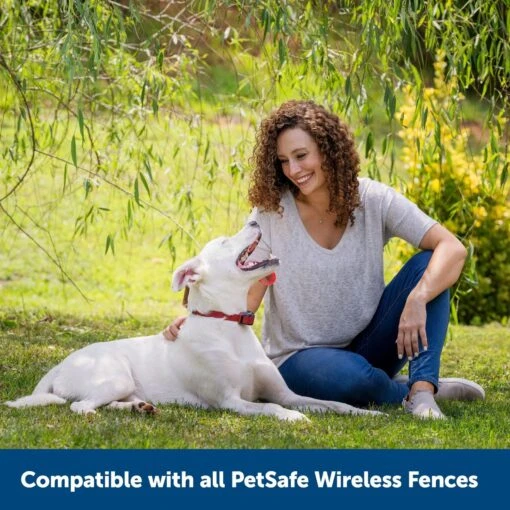 PetSafe Stubborn Dog Stay+Play Wireless Fence Receiver Collar -Dog Supplies 67058 PT6. AC SS1800 V1657661018