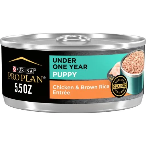 Purina Pro Plan Development Puppy Chicken & Brown Rice Entree Canned Dog Food -Dog Supplies 67444 MAIN. AC SS1800 V1683568709