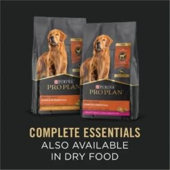 Purina Pro Plan Complete Essentials Adult Classic Chicken & Rice Entree Canned Dog Food -Dog Supplies 67570 PT6. AC SS1800 V1694718645