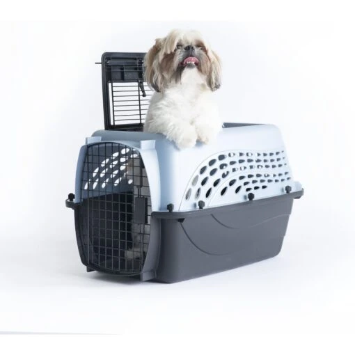 Petmate Two Door Top Load Dog & Cat Kennel -Dog Supplies 68695 PT5. AC SS1800 V1553876549