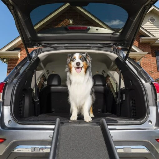 PetSafe Happy Ride Foldable Dog Car Ramp -Dog Supplies 68759 MAIN. AC SS1800 V1646091136