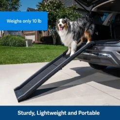 PetSafe Happy Ride Foldable Dog Car Ramp -Dog Supplies 68759 PT4. AC SS1800 V1646089586