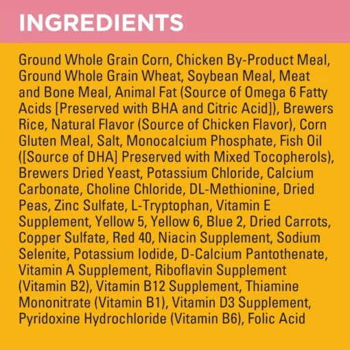 Pedigree Puppy Growth & Protection Chicken & Vegetable Flavor Dry Dog Food & Pedigree Chopped Ground Dinner With Chicken & Beef Puppy Canned Wet Dog Food -Dog Supplies 688942 PT3. AC SS1800 V1668800882