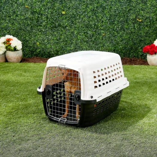 Petmate Compass Dog Kennel -Dog Supplies 69124 MAIN. AC SS1800 V1569014017