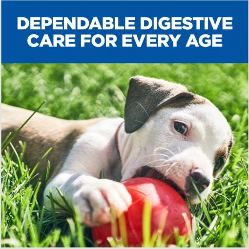 Hill's Prescription Diet I/d Digestive Care With Turkey Wet Dog Food -Dog Supplies 69761 PT7. AC SS1800 V1672326395