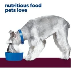 Hill's Prescription Diet I/d Digestive Care Low Fat Original Flavor Pate Wet Dog Food -Dog Supplies 69765 PT4. AC SS1800 V1650985591