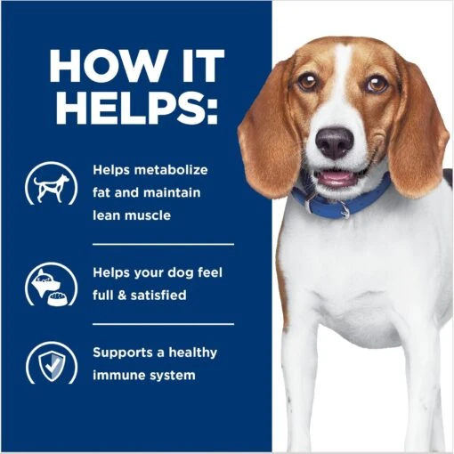 Hill's Prescription Diet R/d Weight Reduction Original Canned Dog Food -Dog Supplies 69783 PT3. AC SS1800 V1672947078