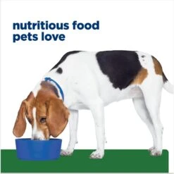 Hill's Prescription Diet R/d Weight Reduction Original Canned Dog Food -Dog Supplies 69783 PT6. AC SS1800 V1672947980