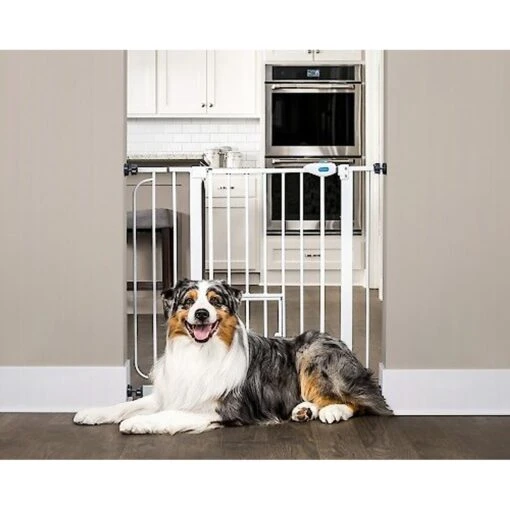 Carlson Pet Products Extra Wide Walk-Thru Dog Gate With Pet Door -Dog Supplies 69972 main. AC SS1800 V1578605028