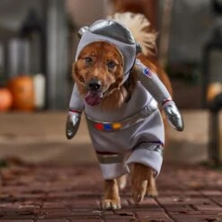 Frisco Front Walking LED Astronaut Dog & Cat Costume -Dog Supplies 707630 PT7. AC SS1800 V1689278700