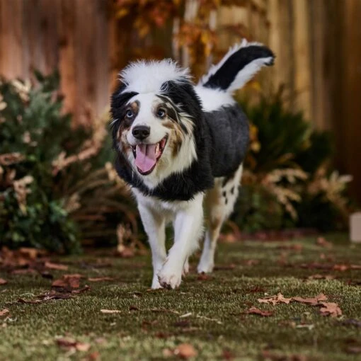 Frisco Faux Fur Skunk Dog & Cat Costume -Dog Supplies 708078 PT7. AC SS1800 V1689282447