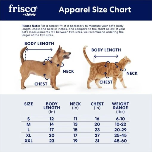 Frisco Flying Phoenix Dog & Cat Costume -Dog Supplies 708150 PT1. AC SS1800 V1689282491