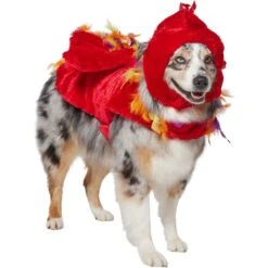 Frisco Flying Phoenix Dog & Cat Costume -Dog Supplies 708150 PT3. AC SS1800 V1691084928