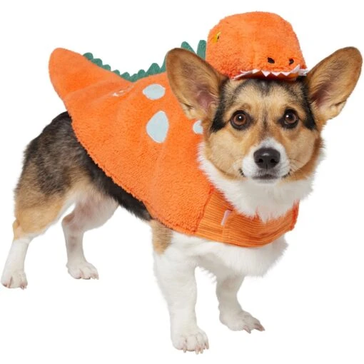 Frisco Furry Dinosaur Dog & Cat Costume -Dog Supplies 708190 MAIN. AC SS1800 V1689350107