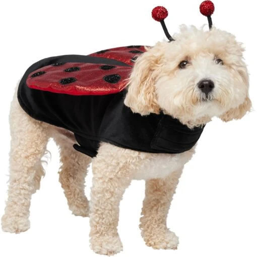 Frisco Glittered Ladybug Dog & Cat Costume -Dog Supplies 708254 MAIN. AC SS1800 V1689277785