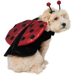 Frisco Glittered Ladybug Dog & Cat Costume -Dog Supplies 708254 PT3. AC SS1800 V1689350986